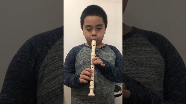 My heart will go on (Titanic Theme Song) in flute recorder by Vincent смотреть онлайн