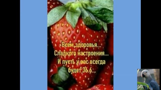 Не болейте! Ю. А - Поправляйся, выздоравливай скорей смотреть онлайн