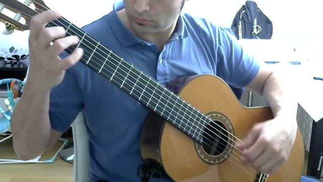 Vals opus 23 n°9 - Matteo Carcassi смотреть онлайн