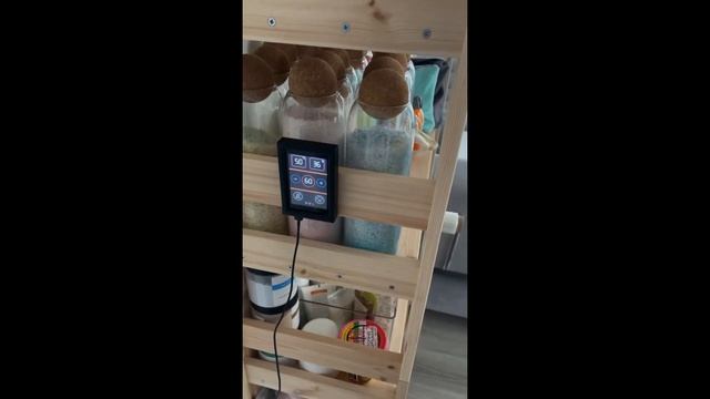 БАНЯ С ЭЛЕКТРИЧЕСКОЙ ПЕЧЬЮ + БАННЫЙ ЧАН НА ДРОВАХ смотреть онлайн