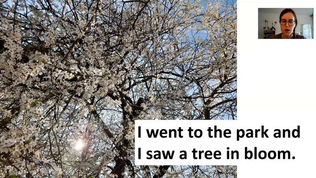 I went to the park and I saw... - ENGLISH ONLY (vocabulary, past simple drill) смотреть онлайн