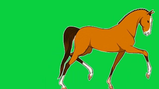 animated horse walking running UHD green screen video for Youtubers. смотреть онлайн