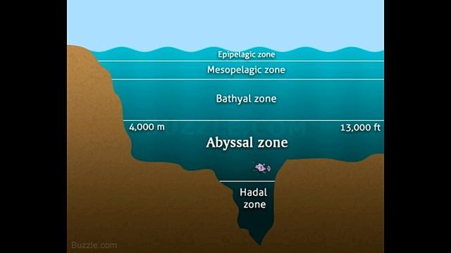 Interesting Facts About the Abyssal Zone смотреть онлайн