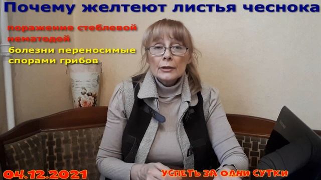 04.12.2021 Лечение чеснока? Как мы спасали наш чеснок без химии и получили замечательный урожай. смотреть онлайн