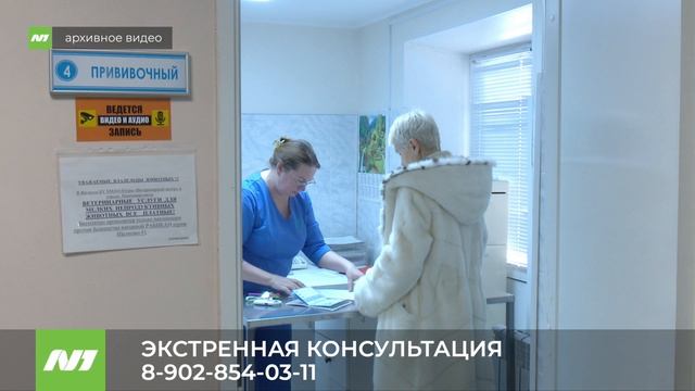 НОЧНАЯ ВЕТЕРИНАРНАЯ КОНСУЛЬТАЦИЯ смотреть онлайн