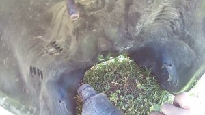 обработка бака мотоцикла эпоксидной смолой изнутри