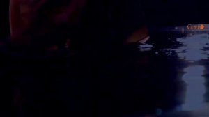 ENIGMA  Feat. Fox Lima 🔸️✠  MMX - The Social Song 🔸️✠