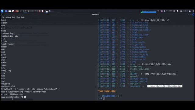 TryHackMe - RootMe / CTF \ Пентест с нуля