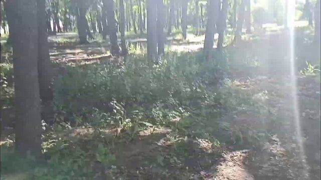 #парк им.М.Горького в г.Инсар смотреть онлайн