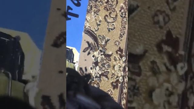 Охотничьи Лыжи полезные мелочи! смотреть онлайн