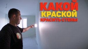 Краска для стен / Красим без полос и разводов / какой краской красить стены