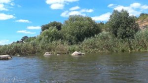 РЫБАЛКА НА БЫСТРОМ ТЕЧЕНИИ НА ПОПЛАВОК.