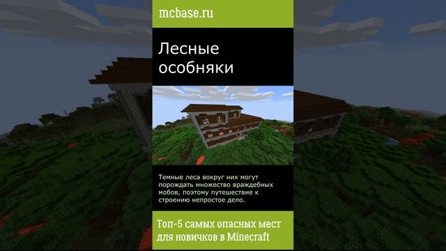 Топ-5 самых опасных мест для новичков в Minecraft #shorts / ссылка в описании