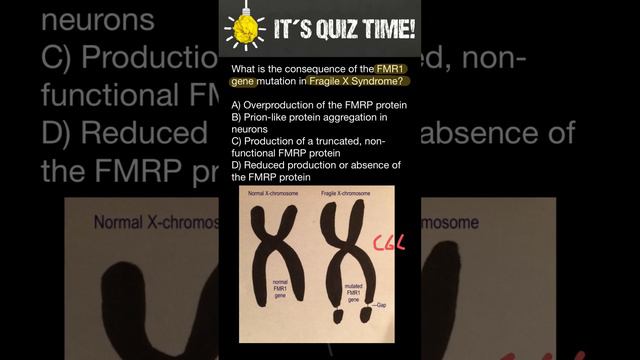 What is the consequence of the FMR1 gene mutation in Fragile X Syndrome? смотреть онлайн
