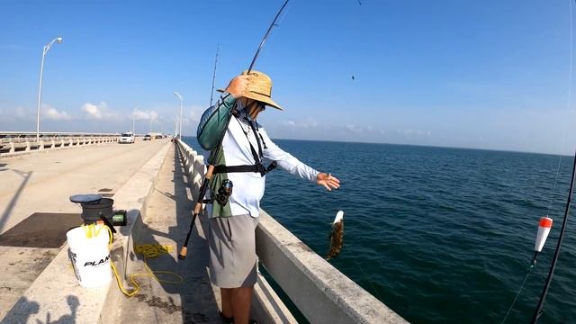 Skyway Pier Grouper Fishing with Light Tackle ? смотреть онлайн