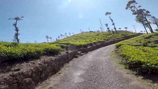 Дорогами Шри-Ланки смотреть онлайн