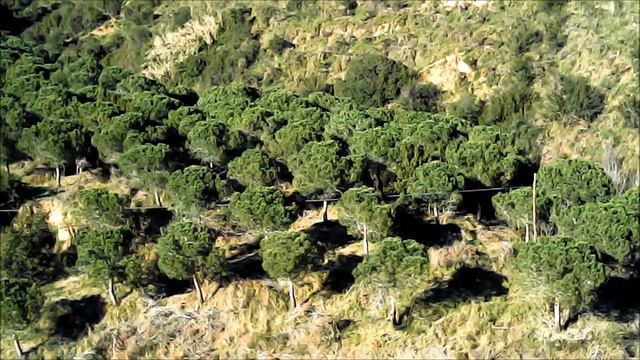 4CH Drone with gyroscope and HD camera (HF-EXPLORER) #Part1 смотреть онлайн