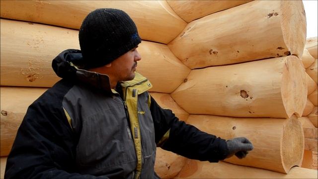Cкрайбинг или завешивание в пазах. Сруб из кедра по канадской технологии часть 42 смотреть онлайн