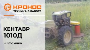Мотоблок Кентавр 1010Д (Toyokawa) с роторной косилкой КР-110М в работе