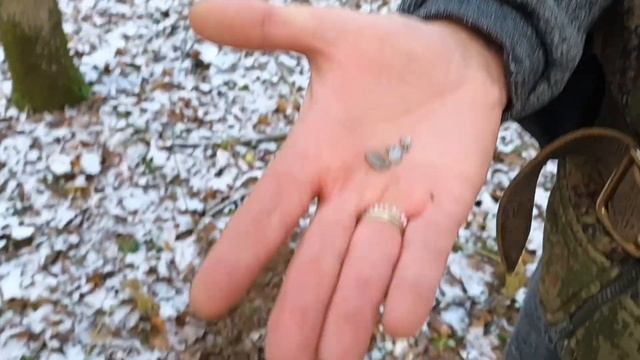 НАШЕЛ СЕЛУХУ 15 ВЕКА! Продолжение следует... смотреть онлайн