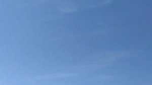 ГОН ГОЛУБЕЙ 1 ЧАСТЬ|ПОЛЁТ БАКИНСКИХ,ИРАНСКИХ,КАСАНОВ,ШЕЕК И ЧЕРНОХВОСТЫХ ГОЛУБЕЙ