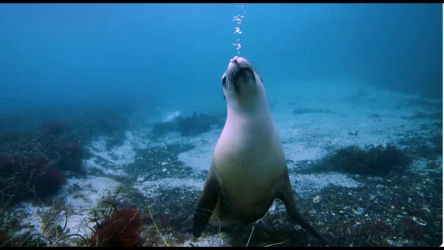 Спокойный сон