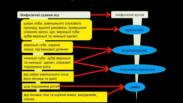 3 Запальні захворювання мяких тканин ЩЛД смотреть онлайн