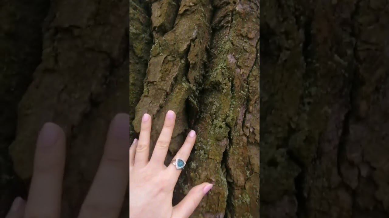 Мощь местной природы смотреть онлайн