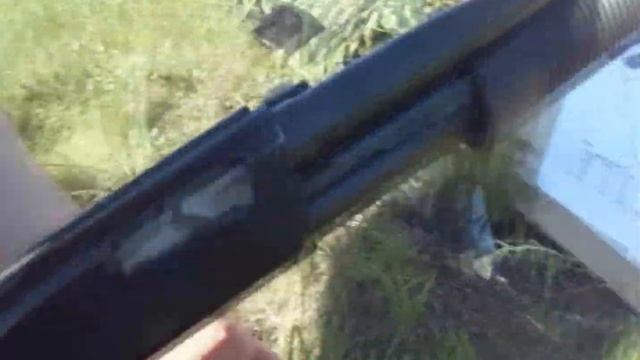 пострелушки с Maverick mod.88 by Mossberg.короткий ствол.различный патроны и дистанции. смотреть онлайн