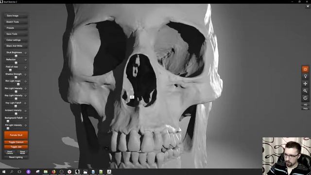 ZBrush. Продолжаем делать череп и изучать анатомию. 07.10.18 Часть 1 смотреть онлайн