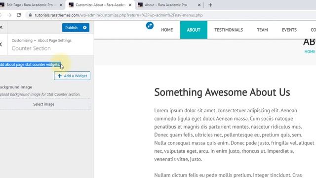 How to Configure About Page Settings | Rara Academic Pro WordPress Theme смотреть онлайн