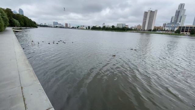 Городской пруд. Прогулка по Екатеринбургу смотреть онлайн