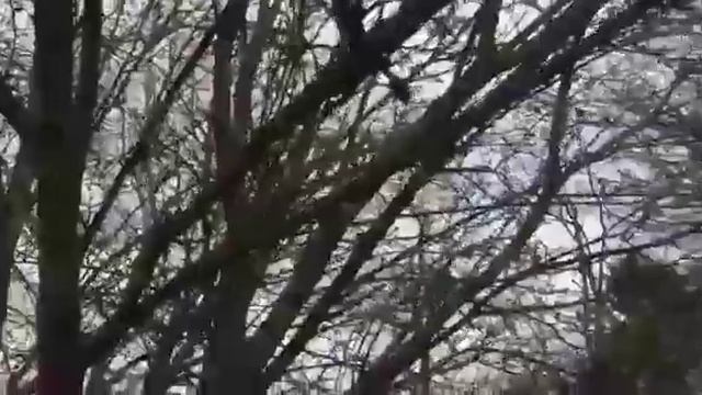 Делюсь своими Медоносами/Полное гнездо Расплода,что делать?/ смотреть онлайн