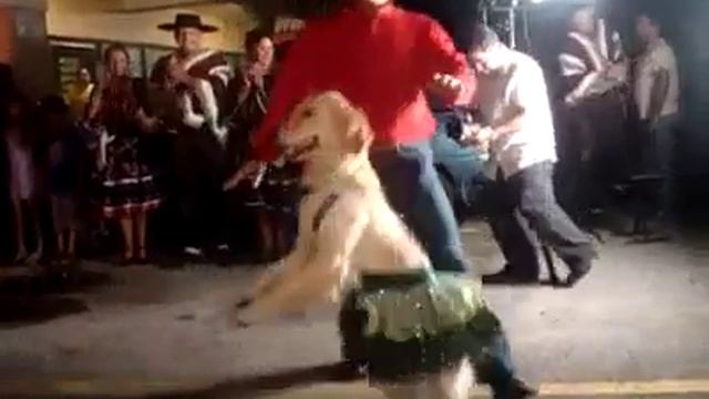1125231 10101349098268260 61561 n.mp4 смотреть онлайн