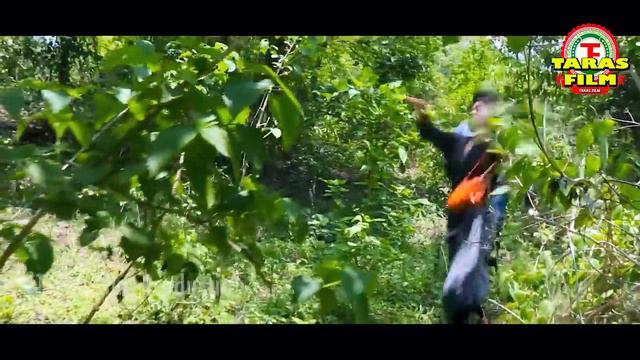 SANTHALI HORROR FILM//BOTORAN BONGA KURI//Superhit 2020 FHD//Bappi Rundu,Ruplata Hansda&Mina Murmu смотреть онлайн