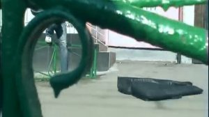 Белый медведь бегает по улице за человеком