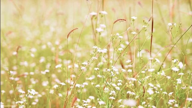 Музыка для души ? Можно слушать вечно и не надоест ? от мелодии мурашки по коже #6 смотреть онлайн