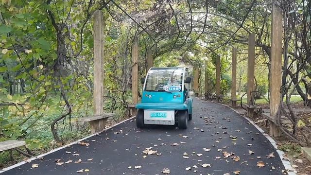 ПУШИСТЫЕ ГУСЕНИЦЫ | Shenyang Botanical Garden смотреть онлайн