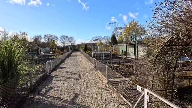 Дачи в аренду.Любители огородов в основном наши переселенцы.