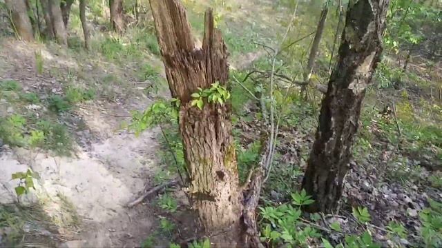 Красивые места в малиновке #2 смотреть онлайн