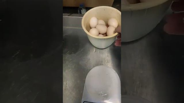 вес куриного яйца от кур несушек при клеточном содержании смотреть онлайн