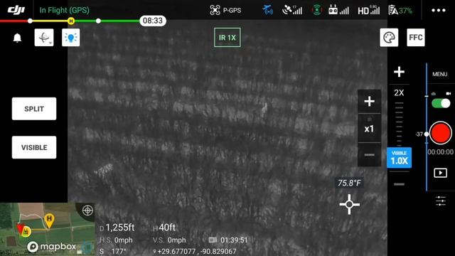 DJI M2EA Using thermal drone to locate and push hogs into kill box смотреть онлайн