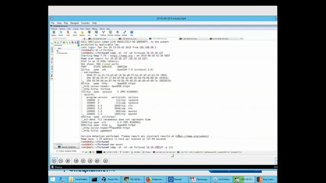 Практические приемы этичного хакинга. Часть 5: особенности анализа безопасности систем смотреть онлайн