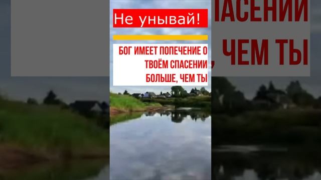 Как устроились обстоятельства, так и живи. Прп. Иосиф Оптинский смотреть онлайн