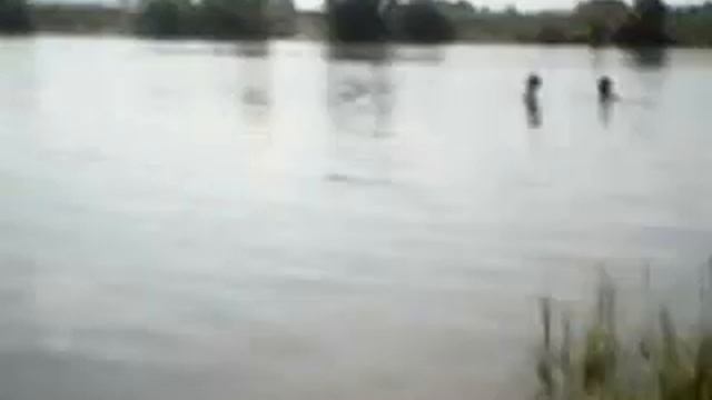 БОЛОТО смотреть онлайн