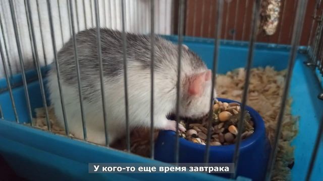 #1 My calm morning смотреть онлайн