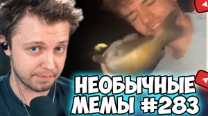 СТИНТ СМОТРИТ: UNUSUAL MEMES COMPILATION V283
