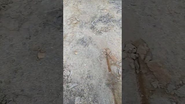 12.04.2023:пошёл прогуляться+пособирать металлолом,-почистить землю в День Космонавтики. Моква, СВА смотреть онлайн