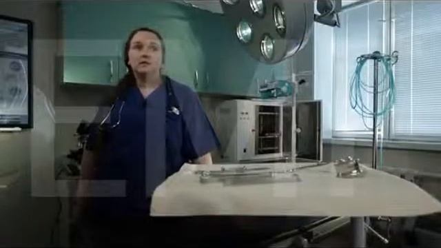 Как дать таблетку собаке. Как дать таблетку кошке. смотреть онлайн