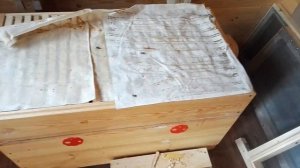 Сон на пчёлах. Апидомик: создание, заселение, обслуживание. #Пчеловодство и #Здоровье Заказ №**6